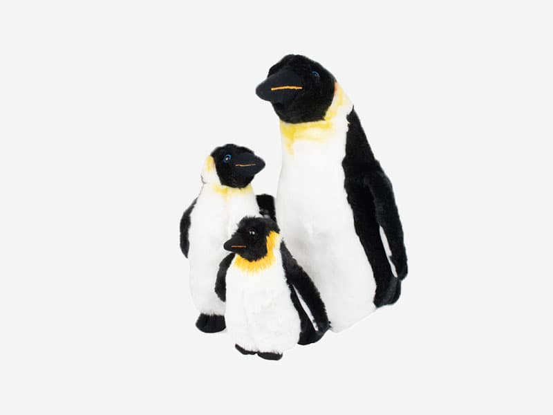 Emperor Penguin