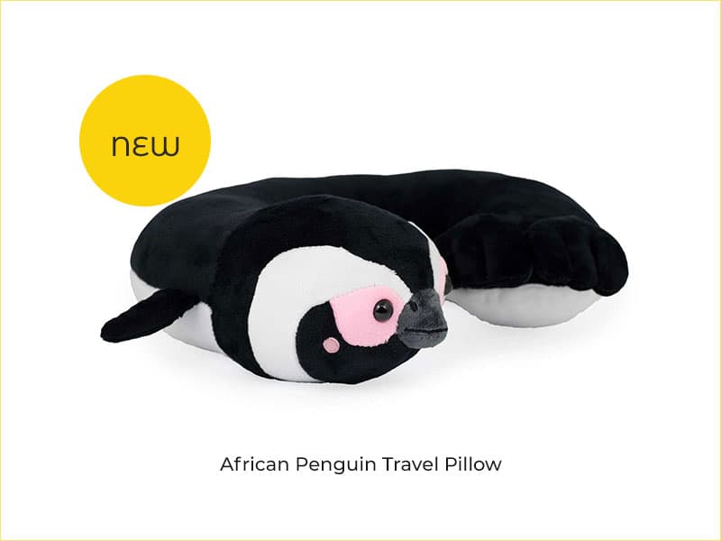 Penguin pillow