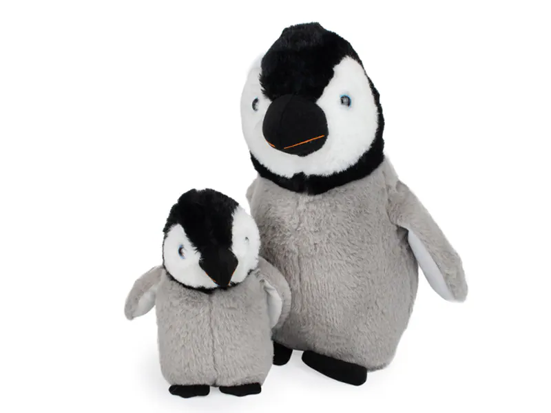 Baby Grey African Penguin
