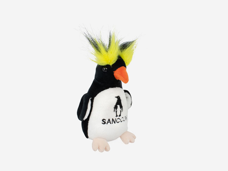 hanging-rockhopper.jpg