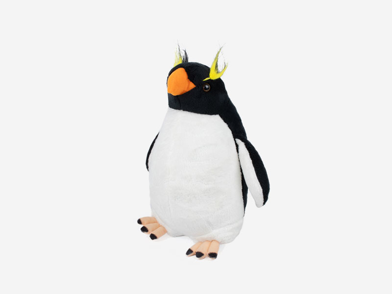 rockhopper-medium.jpg