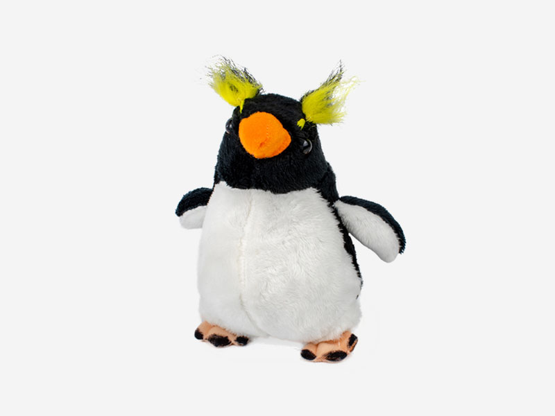 rockhopper-small.jpg