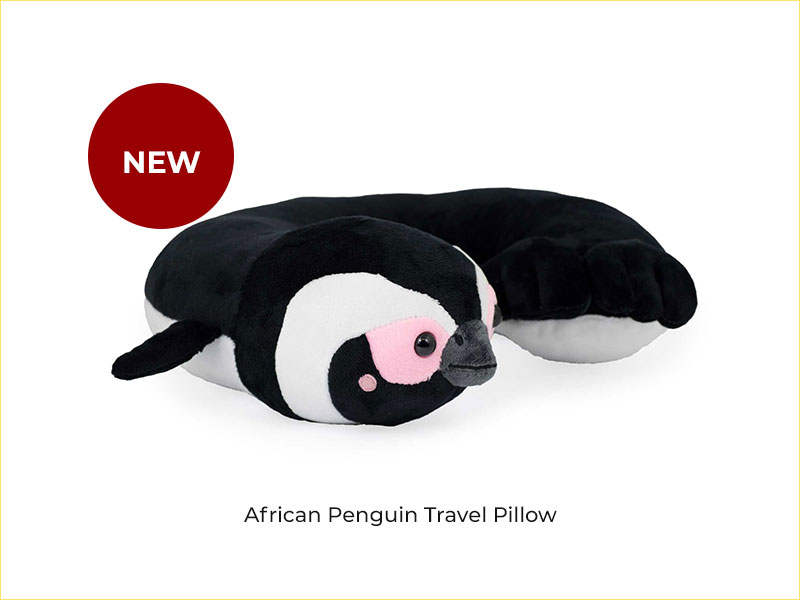 Penguin pillow